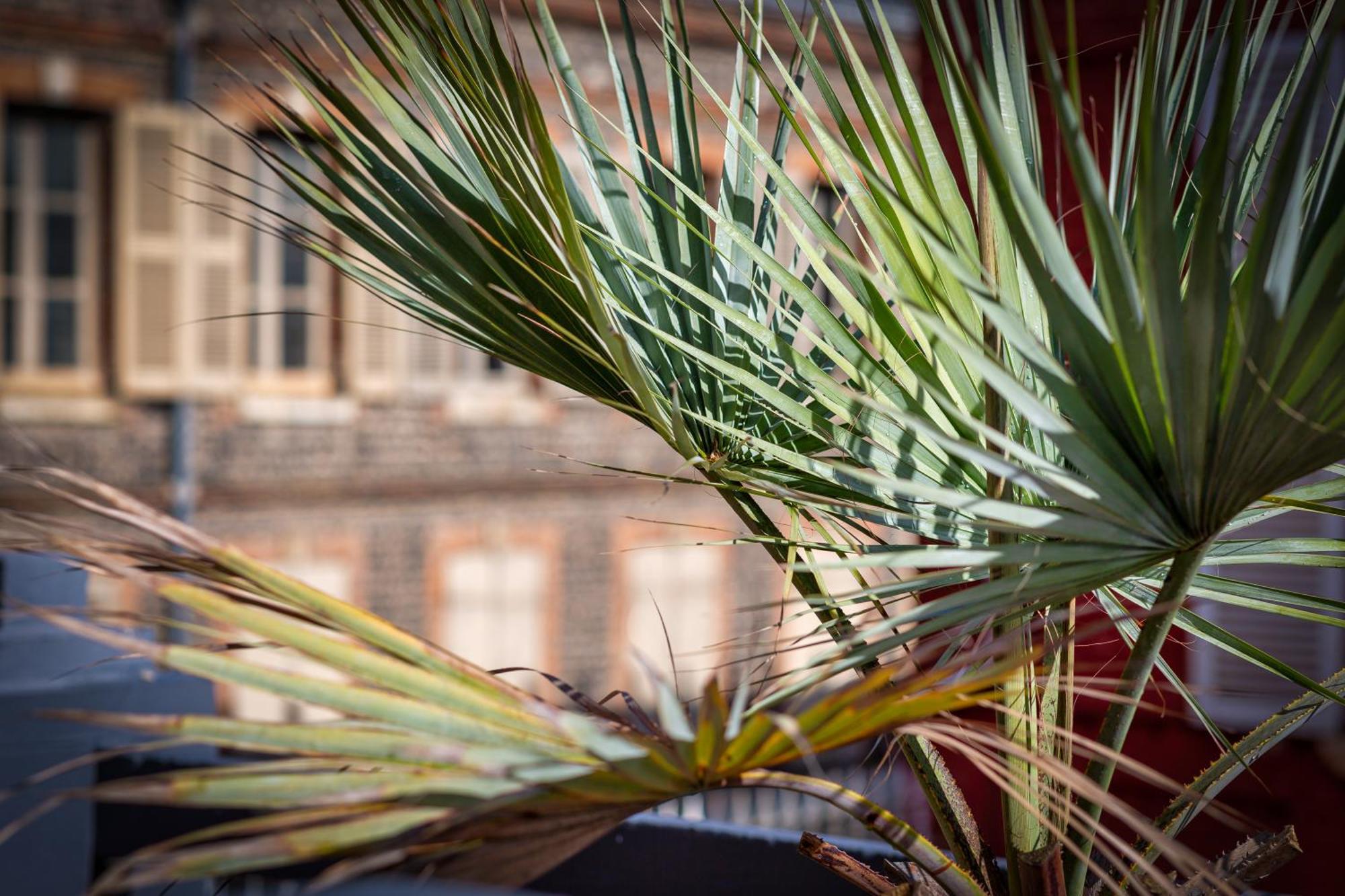 Appartement L'olivier Lumineux Avec Agreable Terrasse